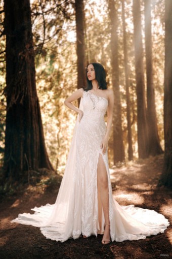 Disney Fairy Tale Weddings Style D375 - Pocahontas #1 thumbnail