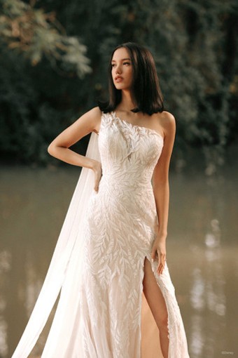 Disney Fairy Tale Weddings Style D375 - Pocahontas #0 thumbnail