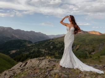 Allure Wilderly Bride Style F226 #3 Nude/Champagne/Ivory/Nude thumbnail