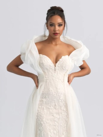 Disney Fairy Tale Weddings Style DVL17 #3 thumbnail