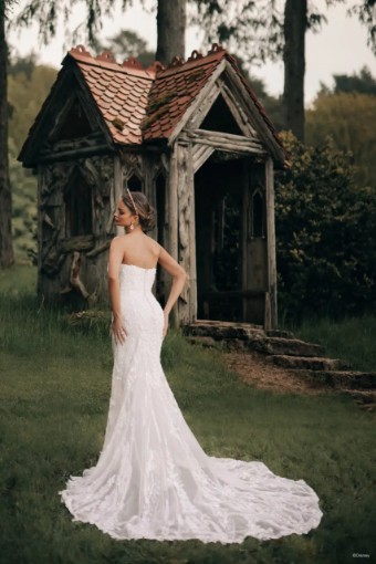 Disney Fairy Tale Weddings Style DVL17 #4 thumbnail
